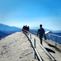 🌲 One Day in Sequoia National Park: Giant Wonders in a Short Time 🏞️📸