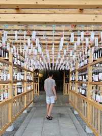 Open-Air Museum in Takayama: A Journey into the Hida Region’s Past