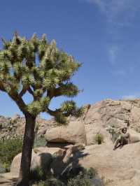 Joshua Tree National Park