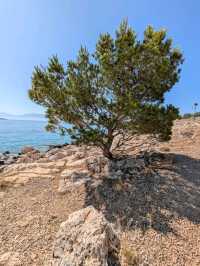 Halki. a hidden gem in the dodecanese