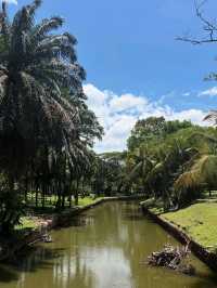 🌿 A Lush City Retreat – Perdana Botanical Garden, Kuala Lumpur
