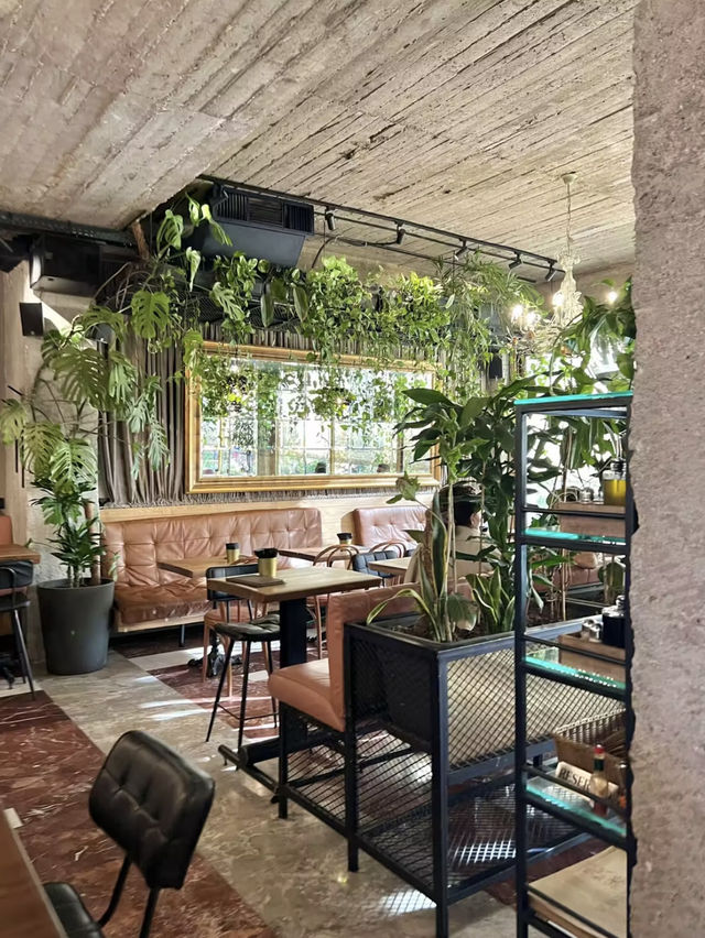 티라나 감성 카페: Cafe Botanica