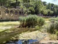 Ancient Paths & Turquoise Waters: A Day in Olympos for Under $100