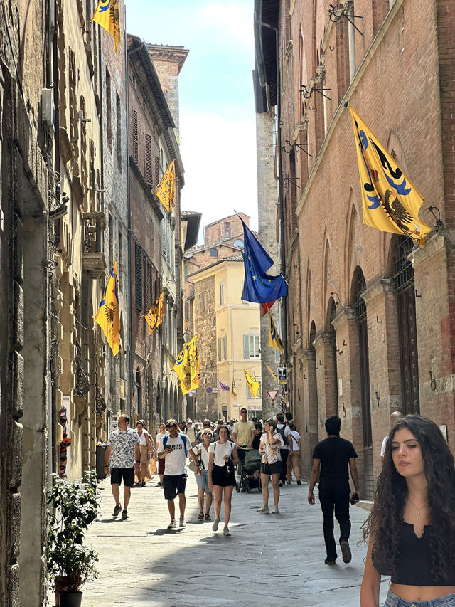 Experience the Heartbeat of Siena’s Palazzos and Teatro dei Rozzi
