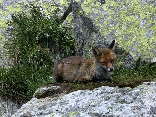 🥾 High Tatras Summer Hike: Alpine Adventure in Slovakia