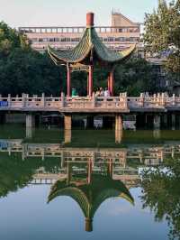 🌳Xi’an Parks: Serenity Amid Ancient City Walls 🏯✨