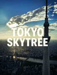 Top daytime spots in Tokyo ( number 3 may be a surprise)