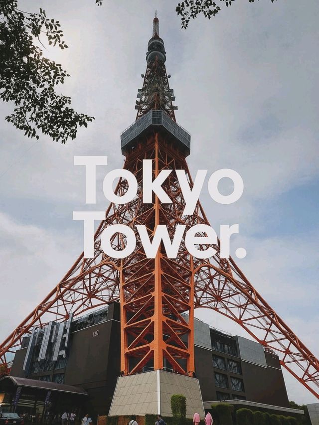 Top daytime spots in Tokyo ( number 3 may be a surprise)