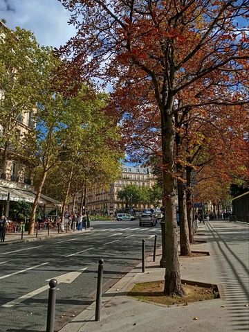 🌟💫 Top Things to See in Paris — The City of Light Awaits 🌟💫 Top Things to See in Paris — The City of Light Awaits