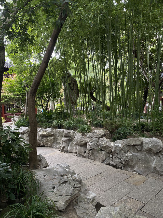 🪷День 2 -Сад Юйюань, старый город и деловой центр Шанхая 🪷День 2 -Сад Юйюань, старый город и деловой центр Шанхая