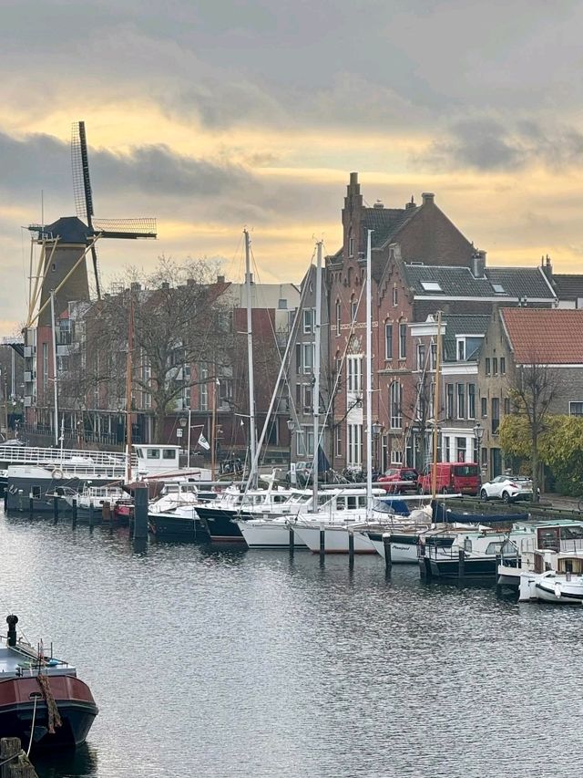 Rotterdam at Christmas – Recommendations for What to Visit (with a festive touch)