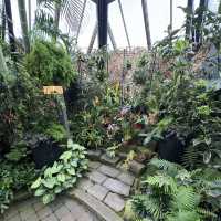 Muttart Conservatory