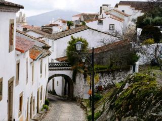 ทาวเวอร์ ดรีมส์ เชียติ ✨