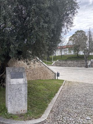 Municipal Park of Vimioso – A Quiet Corner 🌳