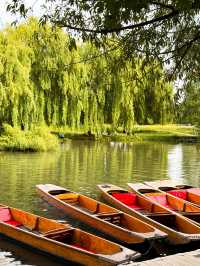 Glide Through History: Punting in Cambridge