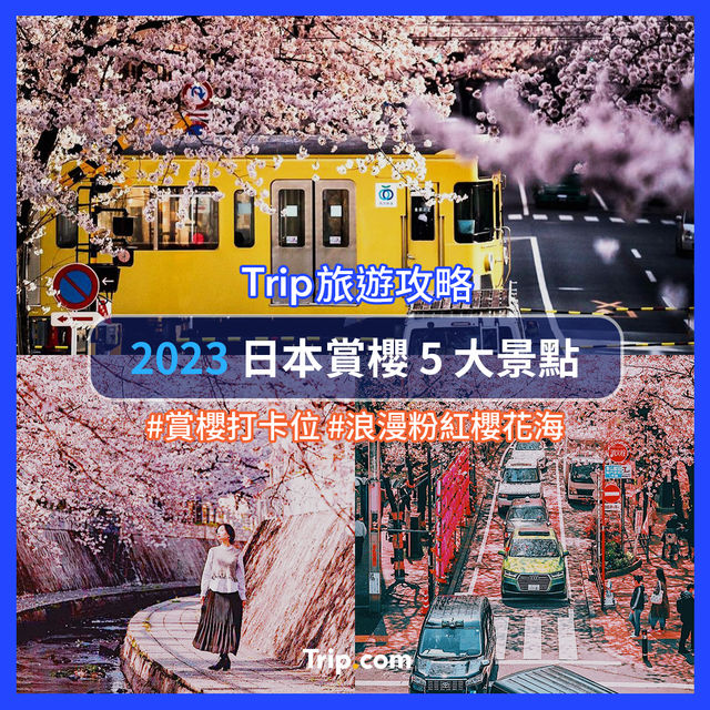 日本賞櫻景點全攻略🌸