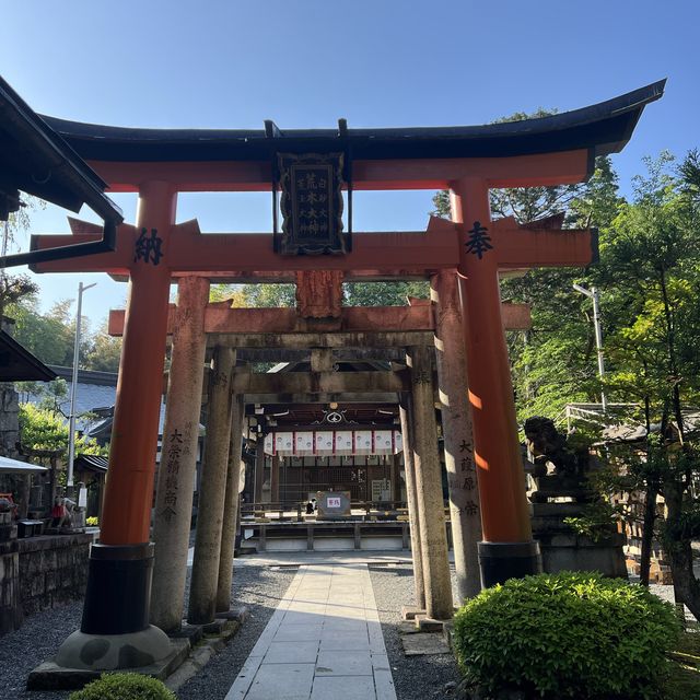 Hike through a thousand inscribed gates 😍