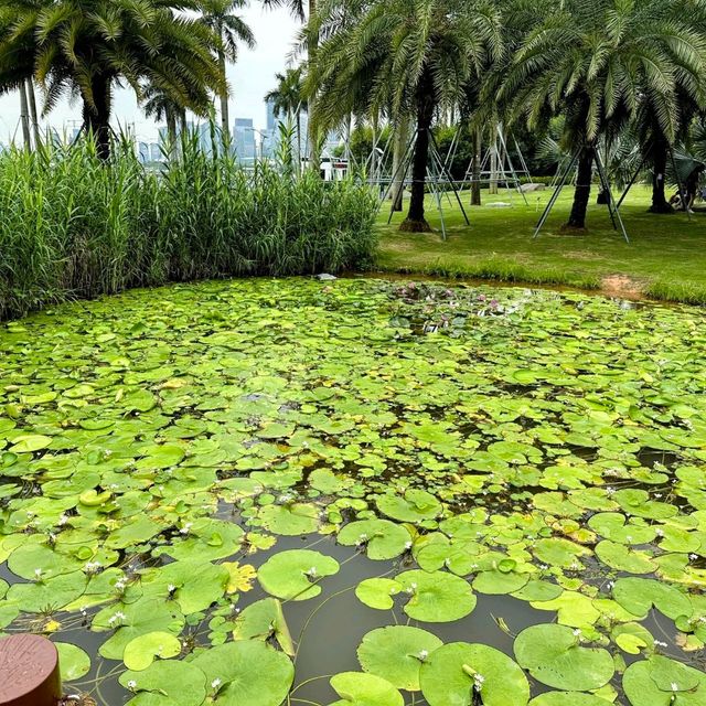 Bin Hai cultural park in the summer Bin Hai cultural park in the summer