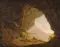 MoonstoneMirage56789012
