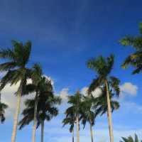 Why you should visit Xiamen!🇨🇳