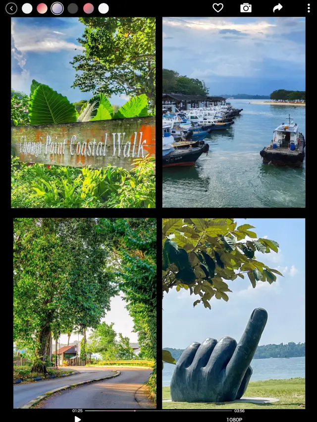 Discover Tranquility at Changi Boardwalk