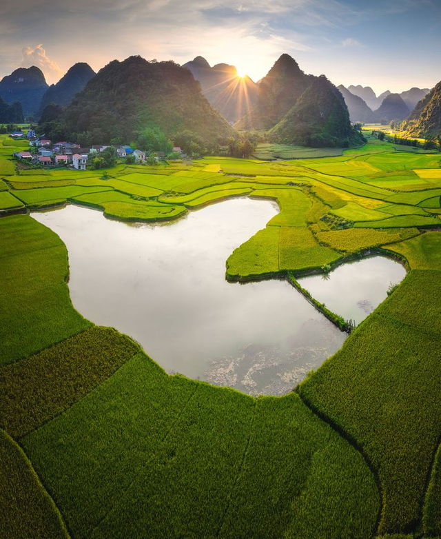 Rice terraces in Trung Khanh