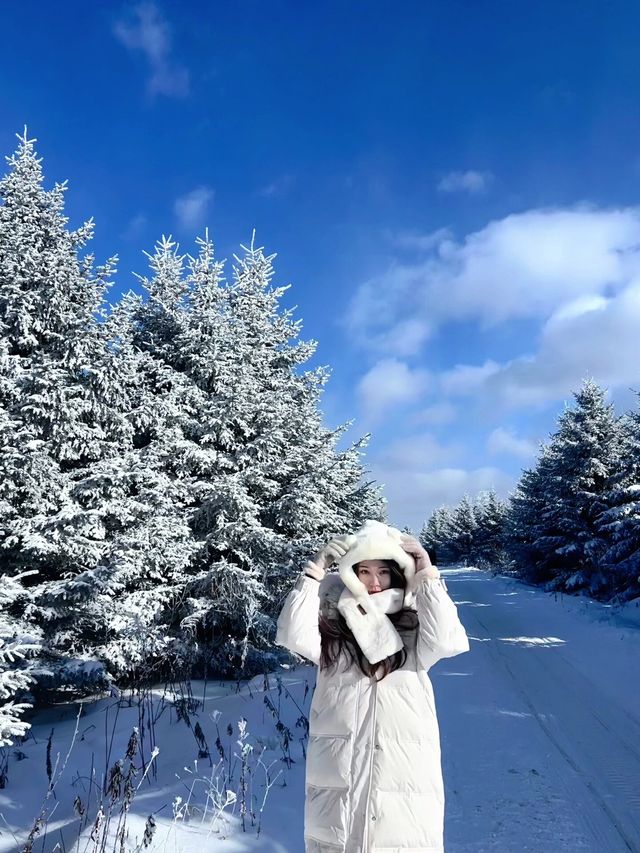 長白山雪嶺，真的巨美！！！