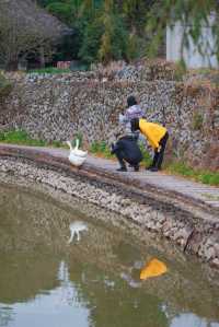 初冬的嶼北,在質樸之外,是斑斕的色彩