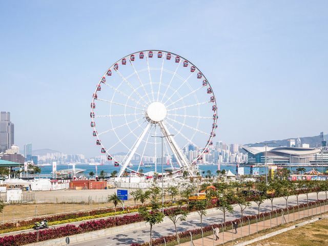 🚲 Thrills on Wheels: Iconic Heights and Unfiltered Adventures in Hong Kong!