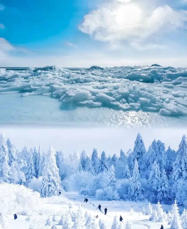 南情北景的林海雪原