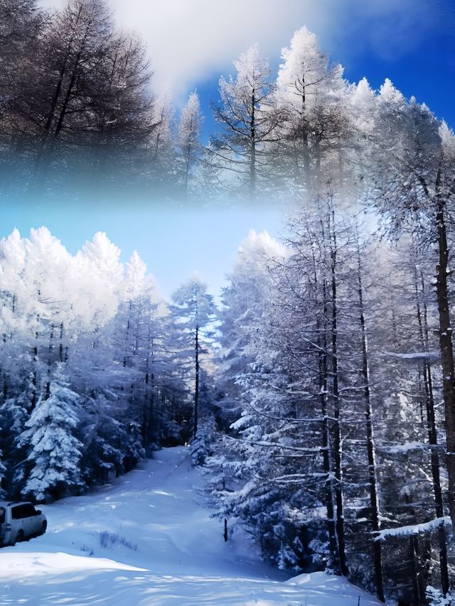 走進北方的香格里拉 | 山西的雪鄉蘆芽山