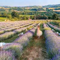 Capturing Perfect Moments at a Lavender Dinner in Italy 💜 Tag Your Companion and Join the Magic 