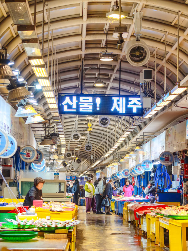 如何在濟州市區逛遊，請參照這份1日遊攻略
