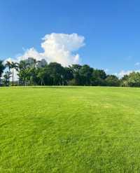 香蜜公園，治癒系公園日系公園