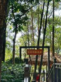 般若禪寺