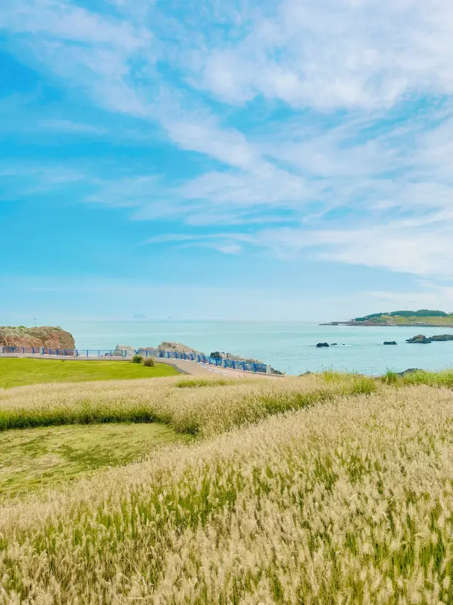 Invading Howl's Moving Castle at Qingdao's Little Wheat Island🫧