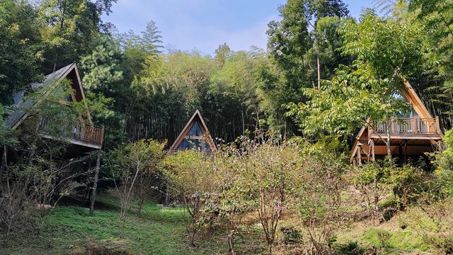 排牙山：森林小氣候大自然空調休閒好去處
