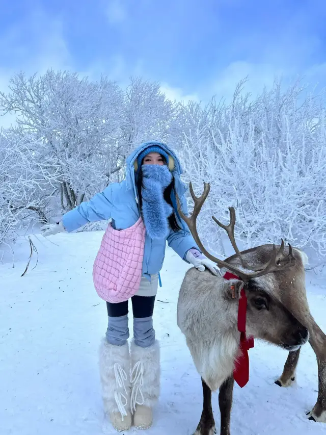 Changbai Mountain Snow Ridge | Winter Limited Happiness!