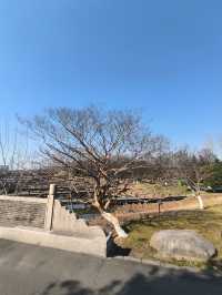 昆山安亭一日遊