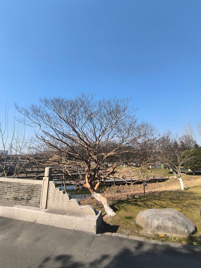 昆山安亭一日遊