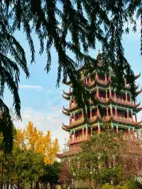 上海川沙古鎮一個被忽略的小鎮！！