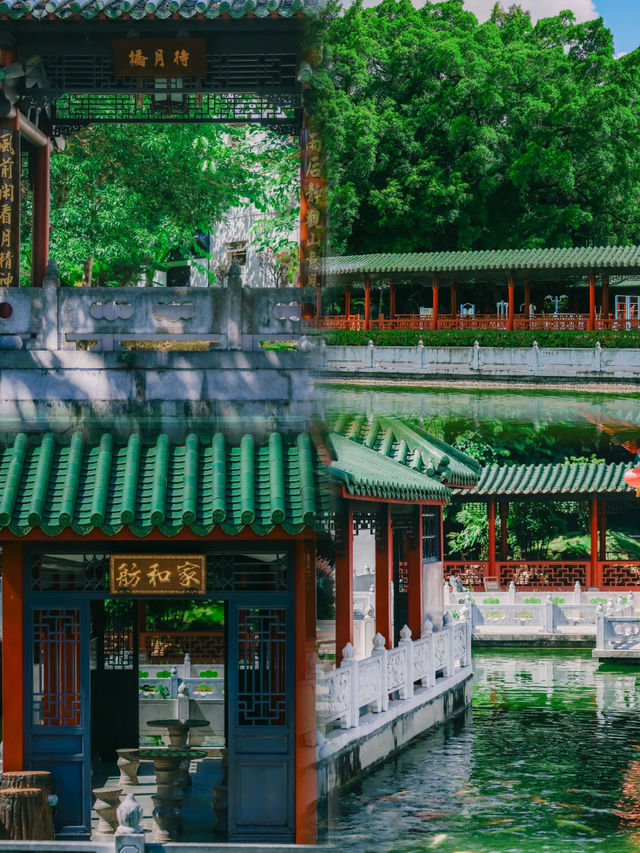 深圳“小蘇州”，藏在市中心的隱世園林！