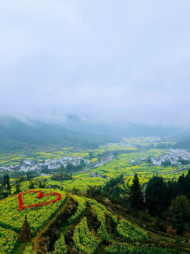 遇見——婺源，油菜花帶給的浪漫