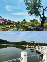 夏津黃河故道森林公園