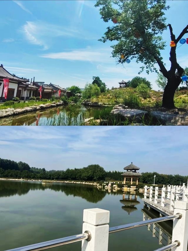 夏津黃河故道森林公園