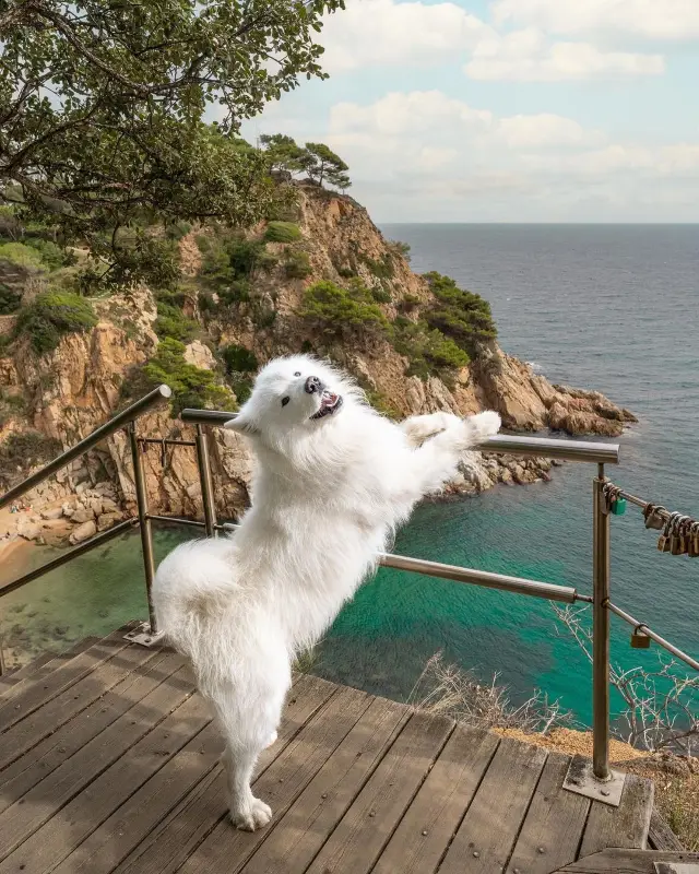 😍❤️ Dive into the charm of Spanish beach towns with this adorable series! Which photo steals your heart? 🏖️🇪🇸