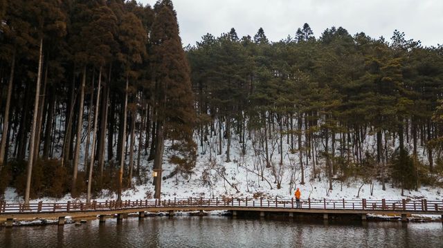 江西宜春溫泉旅遊打卡攻略