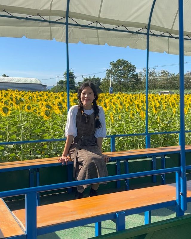 ไปเที่ยวทุ่งทานตะวันในลพบุรีกันเถอะ! 🌻☀️💖✨😂 ทุ่งทานตะวันที่หลายคนกำลังรอคอยอยู่ในช่วงนี้เป็นที่เชื่อมต่อเรื่องราวของความสุขและความรักกันของคนไทย ไม่ว่าจะเป็นคู่รักหรือครอบครัวก็มาถ่ายรูปกันเถอะ! 📸🌻✨💑