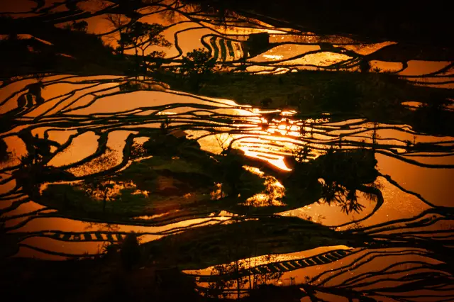 I stayed in Yuanyang for two days, just to witness the beauty of the terraced fields