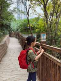 天津踏青｜不出遠門去徒步，爬山遊船餵天鵝的寶藏公園